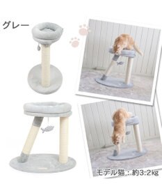 PET PARADISE 猫 キャットタワー 55cm スリム