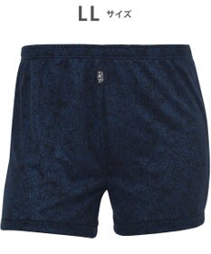 WACOAL MEN トランクス【らく窓パンツ】ボタン開閉の手間なし 中が見えにくい設計  前開き 下着 WT5423  /ワコールメン