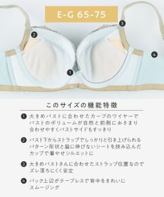 AMPHI ブラジャー パーソナル設計 脇高 背中スムージング A～Gカップまで対応 大きいサイズ 【stylist 4U スタイリストフォーユー】 ブラ BOG313 アンフィ／ワコール