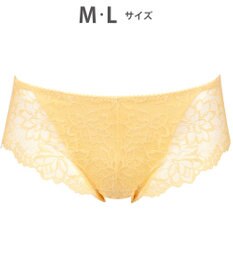 WACOAL サニタリーショーツ 【GOCOCi ゴコチ】 「普通~多い日」に対応 後ろまでしっかりカバー 羽付きナプキン対応 総レース 生理用ショーツ はきこみ丈あさめ レディース PGG198 /ワコール