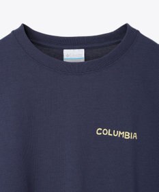 Columbia Columbia/ レイクトゥアベニューグラフィックロングスリーブTシャツ /コロンビア
