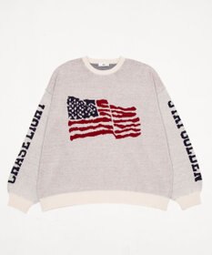 WEGO スリーブロゴニットプルオーバー