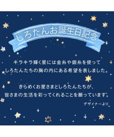 Mother garden しろたん 星空アートフレ―ム