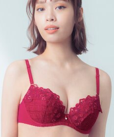 Wing ブラジャー Wing Lesiage 自然なまるみシルエット ソフトなつけごこち 【2960シリーズ】 ブラ PB2960 ウイング／ワコール