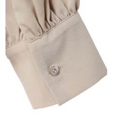 Green Parks ・ＥＬＥＮＣＡＲＥ　ＤＵＥ　イロイロ釦ピンタックブラウス