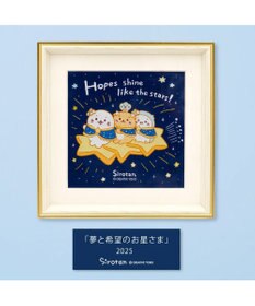 Mother garden しろたん 星空アートフレ―ム