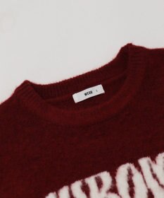 WEGO 【ユニセックス着用ITEM/MLサイズ展開/25年秋冬新作】ファジーグラフィックプルオーバー