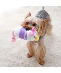 PET PARADISE ディズニー デイジーダック ぽて トイ