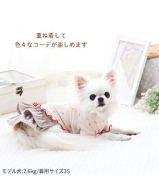 PET PARADISE ペットパラダイス お花のびのび リブ Tシャツ  小型犬