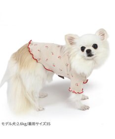 PET PARADISE ペットパラダイス お花のびのび リブ Tシャツ  小型犬