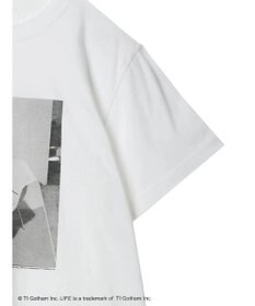 Green Parks ＬＩＦＥ　猫フォトＴシャツ