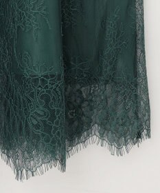 ANY SIS 【洗える】パネルレース ドレス