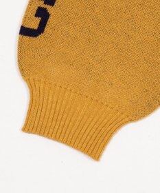 WEGO スリーブロゴニットプルオーバー