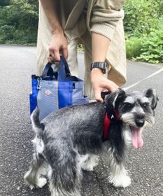 ROOTOTE 1129【BUDDY:撥水加工】SN.スクエア.ドッグ.バディ-B