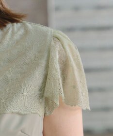 Tiaclasse L 【洗える】フレンチスリーブレースブラウス