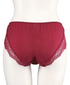 San-ai Resort（三愛水着楽園） エレガントコレクション【2411】ノーマルショーツLL 【northerly】