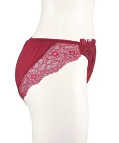 San-ai Resort（三愛水着楽園） エレガントコレクション【2411】ノーマルショーツLL 【northerly】