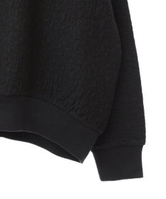 AMERICAN HOLIC フクレジャガードプルオーバー