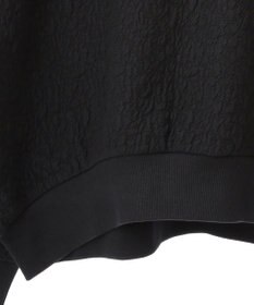 AMERICAN HOLIC フクレジャガードプルオーバー