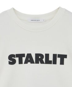 AMERICAN HOLIC アソートロゴロンＴ