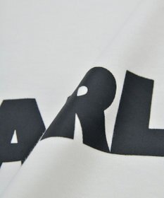 AMERICAN HOLIC アソートロゴロンＴ