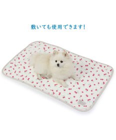 PET PARADISE ペットパラダイス クールブランケット 単品 (90×60cm)  《 苺柄 / ネイティブ柄 》