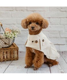 PET PARADISE ペットパラダイス トレンチポンチョ 小型犬