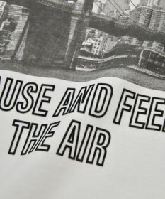 AMERICAN HOLIC アソートロゴロンＴ