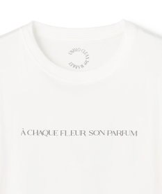 UNFILO 【新柄追加】CLEAN-Tee