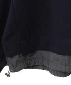 AMERICAN HOLIC ドロストライン切替ポンチプルオーバー