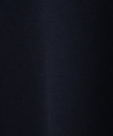 AMERICAN HOLIC ドロストライン切替ポンチプルオーバー