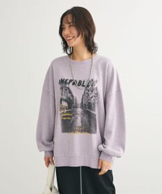 Green Parks ・ＤＯＵＢＬＥ　ＦＬＡＧＳ　フォトｐｔスウェット