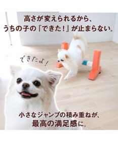 PET PARADISE ペットパラダイス わくわく ハードル トイ