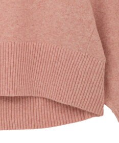 AMERICAN HOLIC ワイドリブVネックプルオーバー