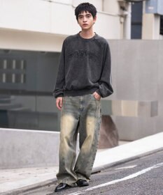 WEGO ショートグラフィックプルオーバー