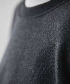 AMERICAN HOLIC ラメ裏毛ショートスウェット