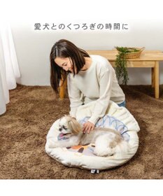 PET PARADISE ディズニー トイ・ストーリー 遠赤外線 くつろぎマット Ｍ
