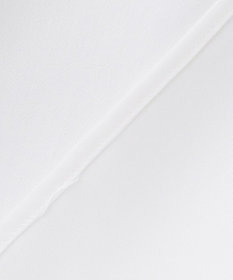 GOTAIRIKU 【形態安定】PREMIUMPLEATS_スナップダウン 通年ドレスシャツ