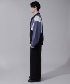 WEGO トロミスタンドブルゾン