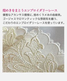 BRADELIS New York 【BRADELIS New York】ノンワイヤーブラ25A2 補正下着 ブラジャー 脇高設計 谷間メイク