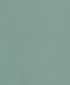 J.PRESS YORK STREET 【WOMEN】ワンウォッシュタイプライター リボンタイバンドカラー ブラウス