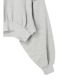 Green Parks ・Ｐｅｔｉｔ　Ｆｌｅｕｒ　ボリュームスリーブスウェット