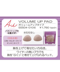 VOLUME UP PAD ボリュームアップタイプ / San-ai Resort (三愛水着楽園