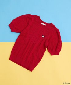 earth music&ecology Ｄｉｓｎｅｙ×Ｓｅｉｊｉ　Ｍａｔｓｕｍｏｔｏ刺繍ニット