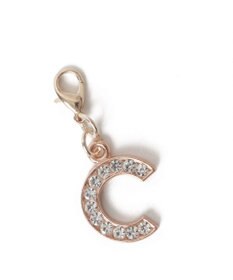 WEGO 【痛バ＆推し活グッズ】ゴールドビジューアルファベットDIYチャーム21ｍｍ