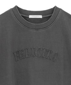 Green Parks ピグメントロゴ刺繍裏毛プルオーバー