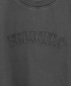 Green Parks ピグメントロゴ刺繍裏毛プルオーバー