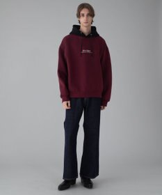 WEGO 【ユニセックス着用ITEM/MLサイズ展開】ワンポイントバイカラープルパーカー