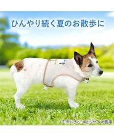 PET PARADISE リサとガスパール 保冷剤付き クール ハーネス 《シトラス柄》  Ｓ 小型犬
