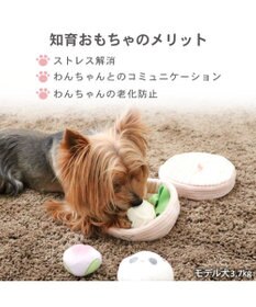 PET PARADISE ペットパラダイス ヤムチャ ノーズワークトイ